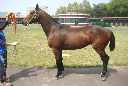 �ôϸ� ����