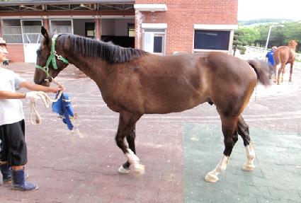 ���� ����