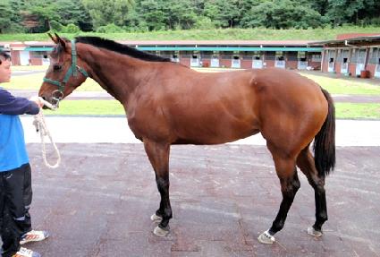 �ڱݼ� ����