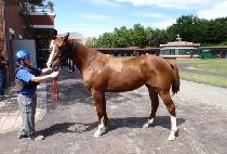 ���� (GEUMJEONG) ����