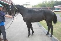 ������Դ� (BRAVO TOGETHER) ����