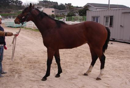 �ް���Ÿ ����