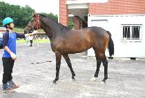 �������� (SEONYUMAWANG) ����