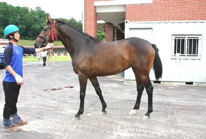 �������� ����