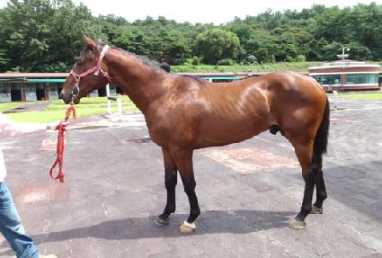 ������ ����