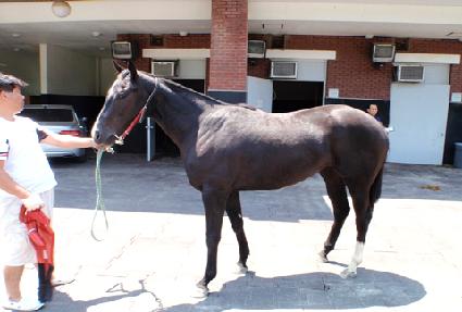 ������ ����