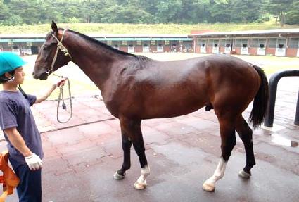 ī�۷��̵� ����