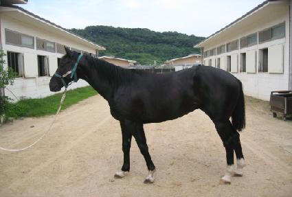 ���Ѻ�� ����