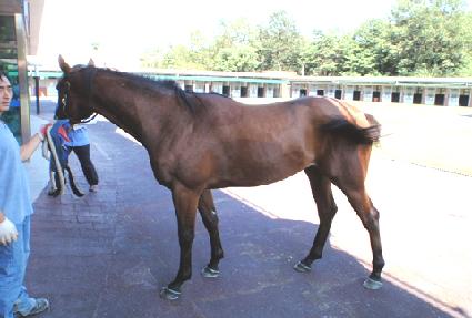 �����α׶� ����