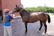 ���丮��ĭ (IMPERIAL KHAN) ����