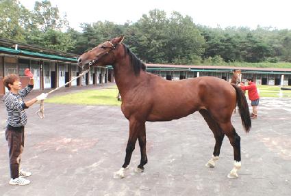 ��õ���� ����