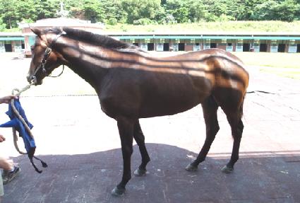 �������� ����