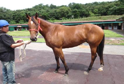 ���������� ����