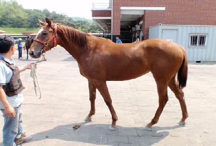 �ִ����� ����