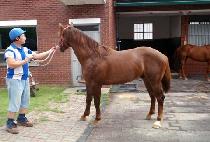 �������� (DONGNYEOGUIHIM) ����