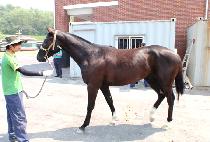 CHEONJIBARAM picture