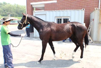 õ���ٶ� ����