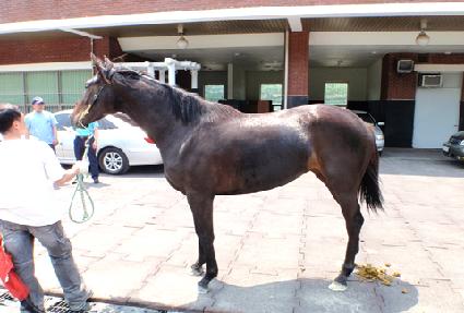 �����ν����� ����