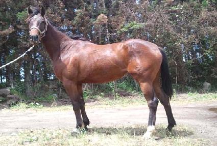 ���׹齺 ����