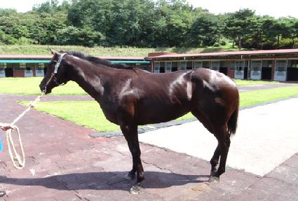 ���ؾ�� ����