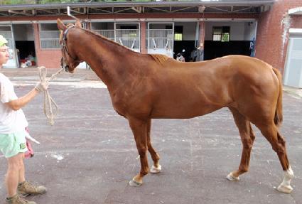 ���������� ����