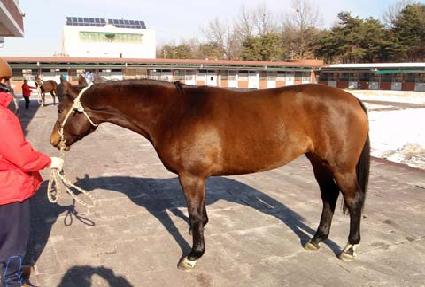 ������Ʈ ����