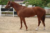 ��¼� (SANGSEUNGSE) ����