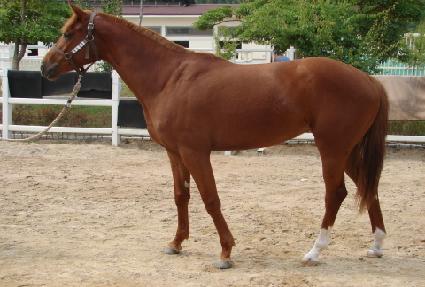 ��¼� ����