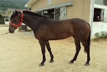 ������� (MYEONGMUN DAERO) ����