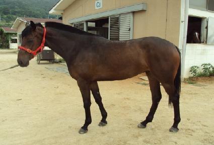 ������� ����