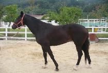 �Ѷ������ (HANRASAN JEONGGI) ����