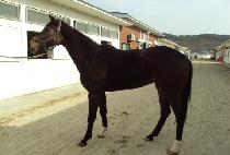 ���õ�� (NOKSAEK CHEONSA) ����