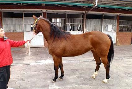 ȯ��ٶ� ����