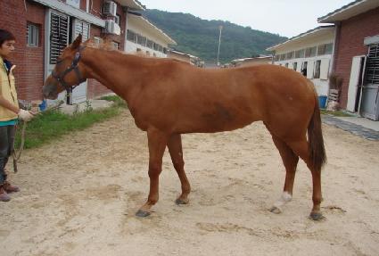 ����ֵ� ����