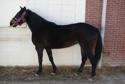 ������� ����