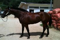 Ŭ������ (CLARET JUG) ����