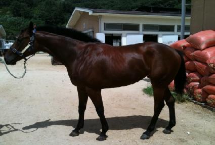 Ŭ������ ����