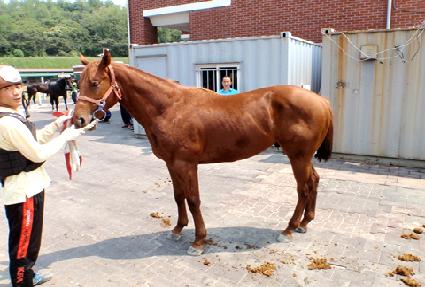 �ڸ���è�� ����