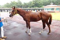 ���ְ��� (UJUGANGGUK) ����