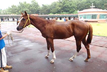 ���ְ��� ����