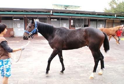 ��ð��� ����