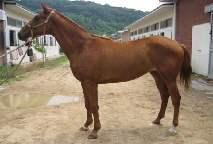 ��翡�̽� ����