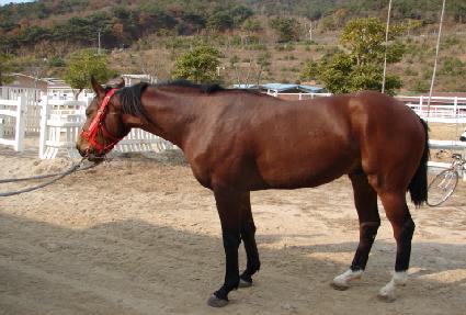 ������� ����