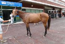 �Ѿ��� (HANEOLJU) ����