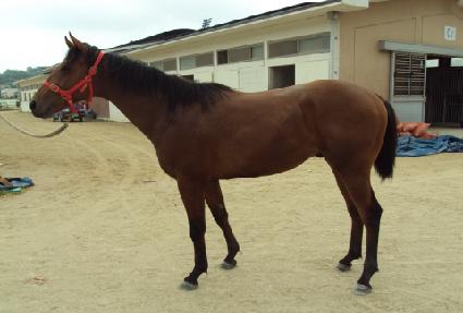 �溹�� ����