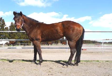 Ŭ������ ����