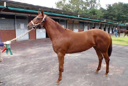 ����ȷ��� ����