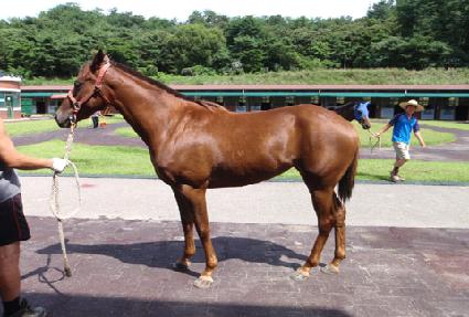 ���￩�� ����