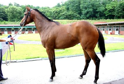 ���̿����� ����