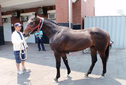 ���˱��� ����